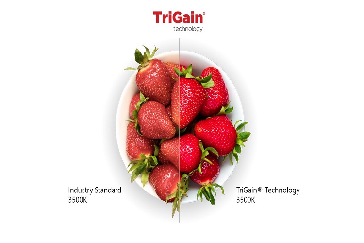 Trigain Trigain